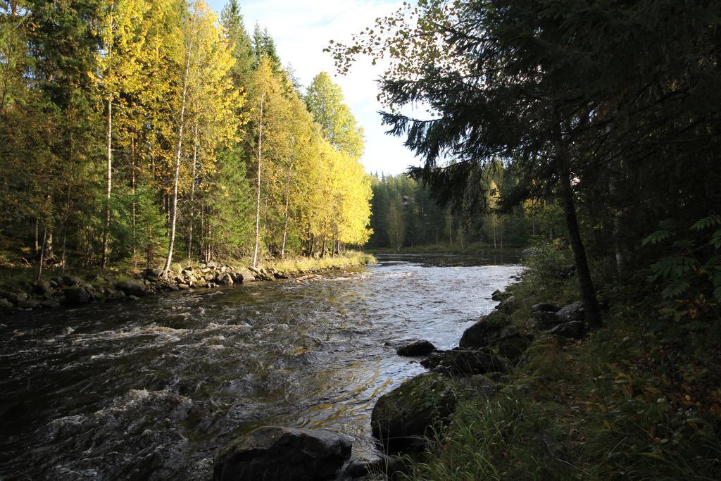 Keskikosken Lomamoekit Venajanjarvi Esterno foto